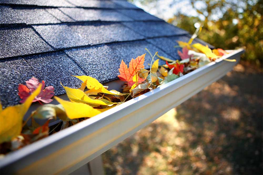 Gutter Maintenance and Cleaning